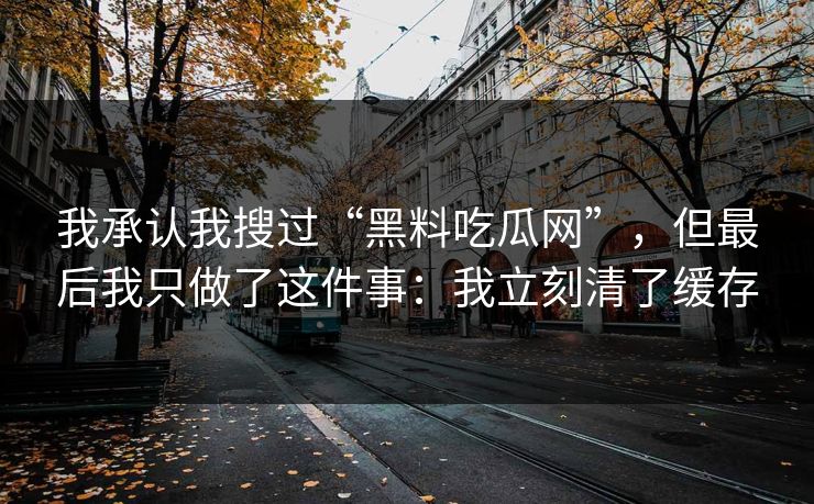我承认我搜过“黑料吃瓜网”，但最后我只做了这件事：我立刻清了缓存