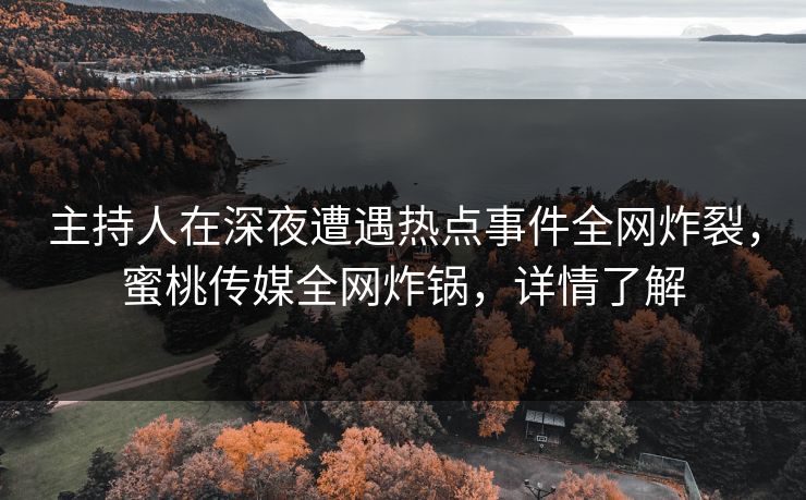 主持人在深夜遭遇热点事件全网炸裂，蜜桃传媒全网炸锅，详情了解