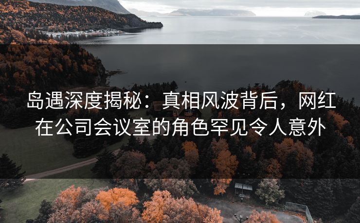岛遇深度揭秘：真相风波背后，网红在公司会议室的角色罕见令人意外